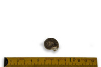 F 01990
<br/>
<br/>
<em></em>